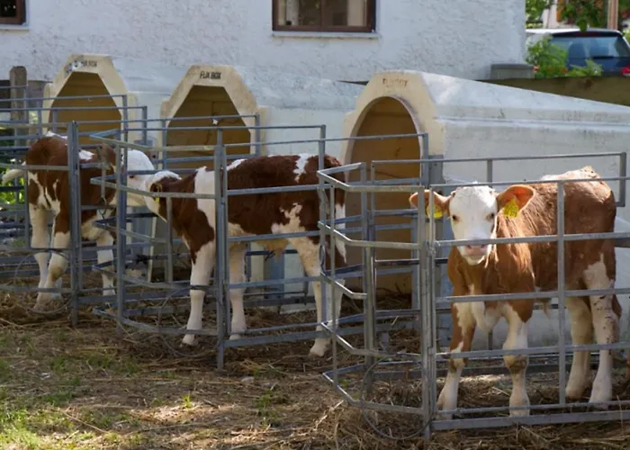 Farmház Koenig Andrea Schwaigerhof